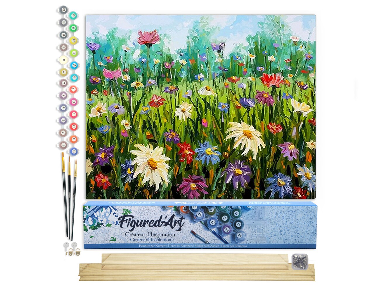 Figured'Art Paint by Numbers Kit for Adults Flowers in the Countryside 16"x20" - Craft Art Painting Rolled Canvas with DIY wooden frame